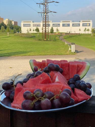 Hotel Tj Chodov