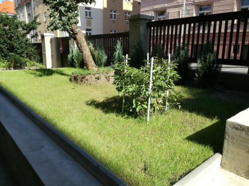 Jezerka Apartments
