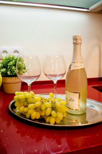 Apartment Za Poricskou Branou