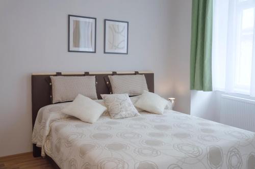 Apartment Krakovska 5