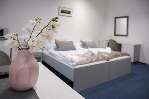 Classic Apartm�ny T?inec