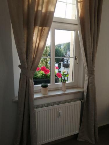 Apartamento Haus Zedtwitz