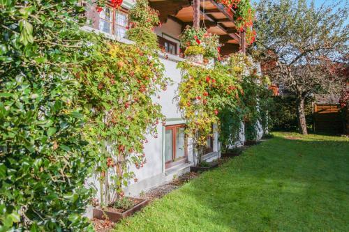 Apartamento Ferienwohnung Krenn 2