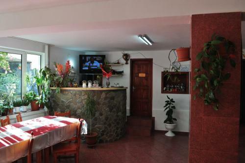 Hostal Pensiunea Maria