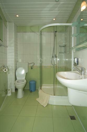 Hostal Pensiunea Andrei Moieciu