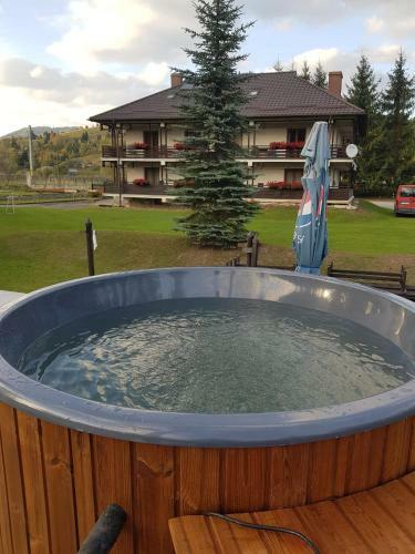Hostal Pensiunea Irina