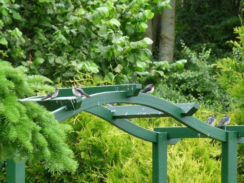 Apartamento 50092 Wohnung Feld