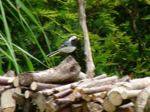 50093 Landhaus Rohde