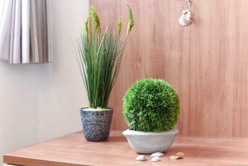 Ferienwohnungen Im Gezeitenhaus