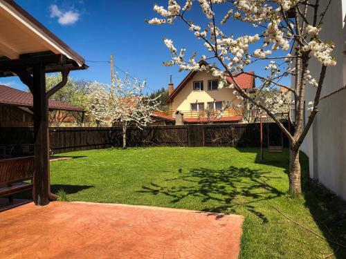 Hostal Pensiunea Aliart