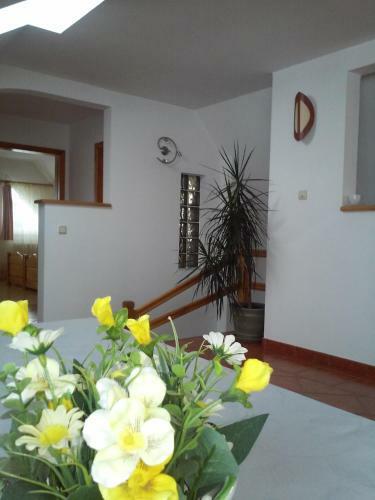 Apartamentos Casa Magdalena