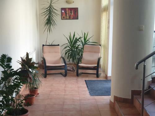 Hostal Pension Ambiance City