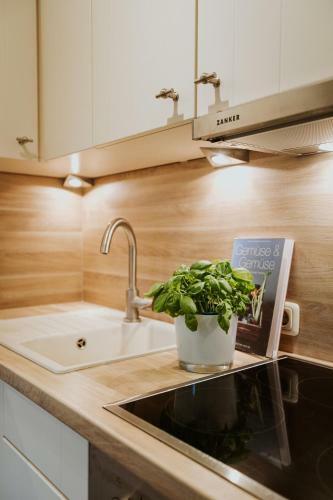 Apartamento Michel