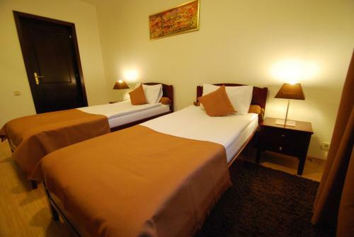 Hostal Pensiunea Elite