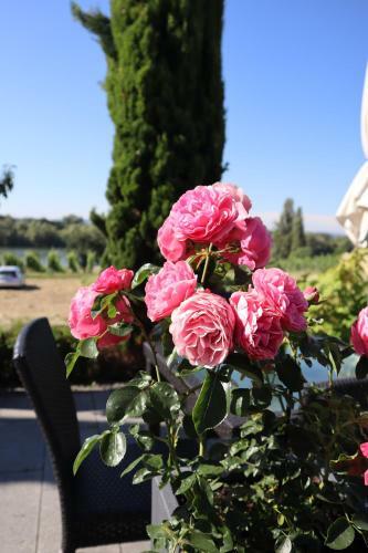 Hotel G�stehaus Rheinblick