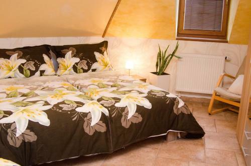 Hostal Penzion No. 1