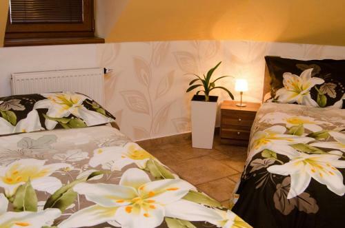 Hostal Penzion No. 1