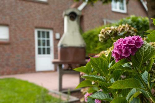 Ferienhaus Duenenwind