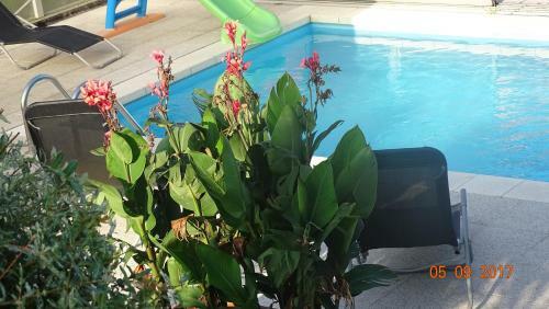 Hostal Penzion Relax Martina