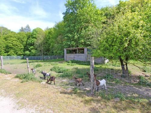 Agroturismo Gruppenobjekt Kuchelmi_ See 6921