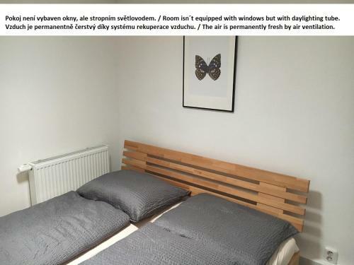 Hostal Mikulov Inn - Penzion Zem?