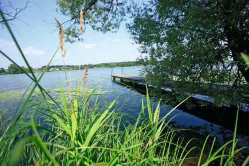 Apartamento Ferienwohnungen Chiemgauer Seengl�ck