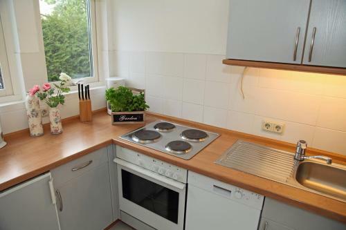 Apartamento Ferienwohnung An Den Salzwiesen
