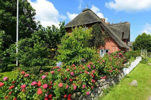 Apartamento Holiday Flat Oevenum - Dns10102f-p