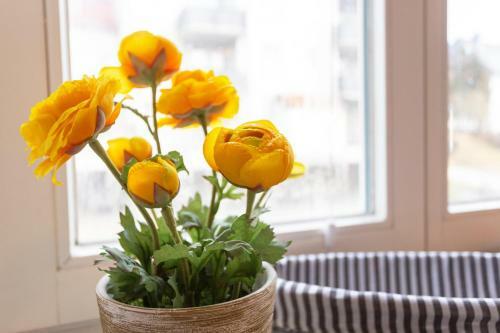 Apartamento Ferienwohnung An Der Salamanderburg