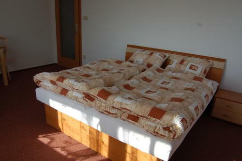 Hostal Penzion Na Devitce