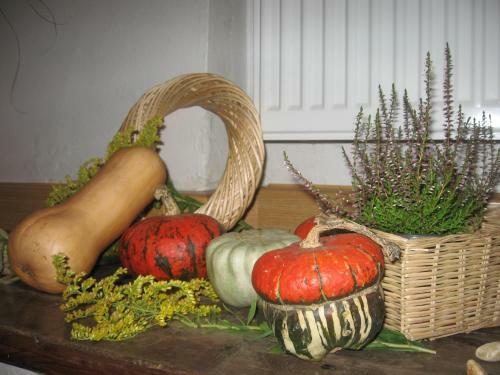 Hostal Pension Archa