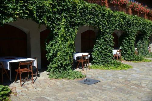 Hostal Penzion U Veter�na