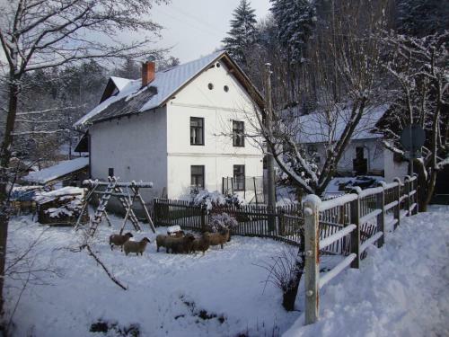 Hostal Petrovick� Ml�n