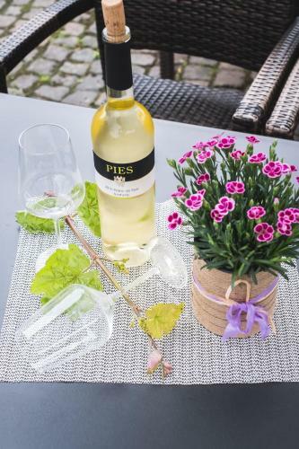 Hotel Ellenzer Goldb�umchen