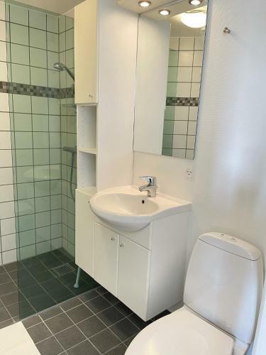 Apartamento F11 3s Tv With Balcony