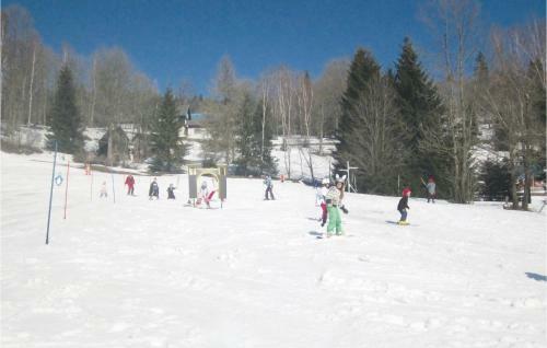 Holiday Home Dolni Maxov