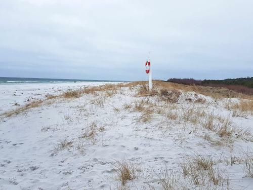Apartamento Holiday Home Pileg�rdsvejen