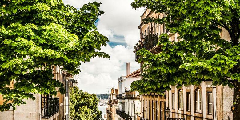 Hostal Casinha Das Flores