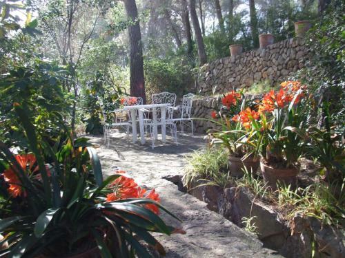 Villa Amores