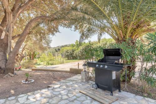 Villa Finca All� D Alt