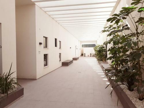 Luxury Beach Apartment In Calpe Center
