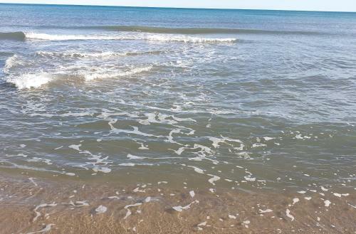 Alicante Sunbeach Chalet