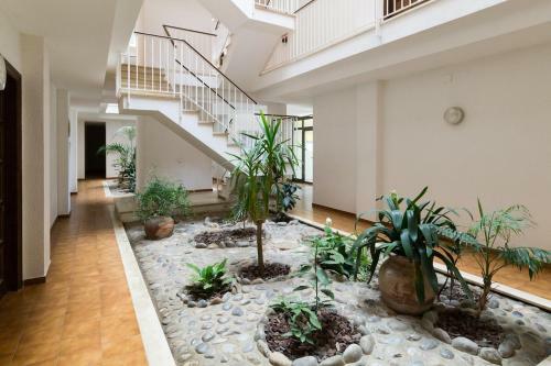 Apartamento Jardins Del Mar 118