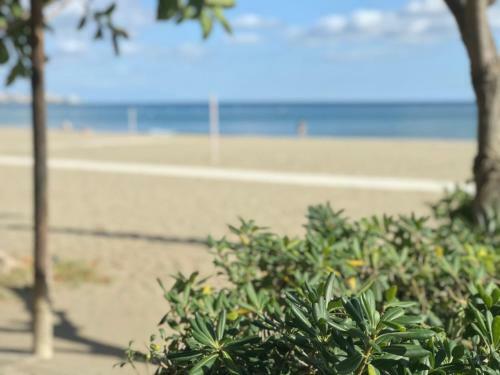 Apartamento Paseo Mar�timo Los Boliches
