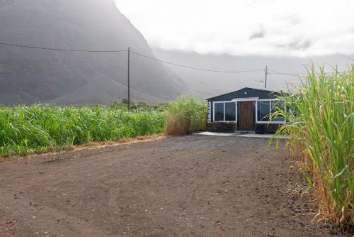 Beautiful Coastal House On A Tranquil Organic Farm