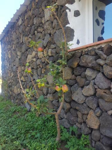 Beautiful Coastal House On A Tranquil Organic Farm