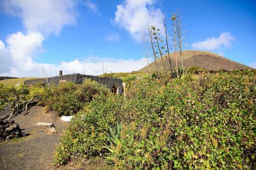 Villa La Bodega - House On Volcano With A Piano