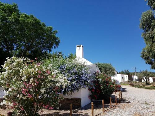 Hostal Horta Da Coutada