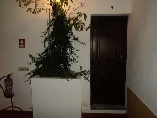 Bed & Breakfast Alojamento Pero Rodrigues