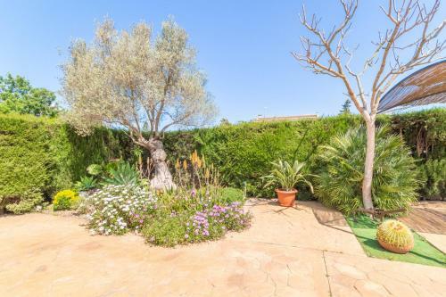 Palma, Sa Cabaneta - 284357